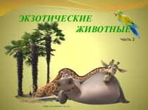 Экзотические животные