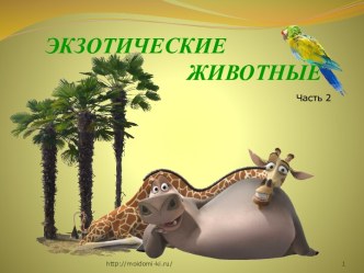 Экзотические животные