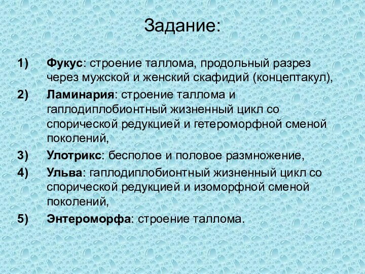 Задание:Фукус: строение таллома, продольный разрез через мужской и женский скафидий (концептакул),Ламинария: строение