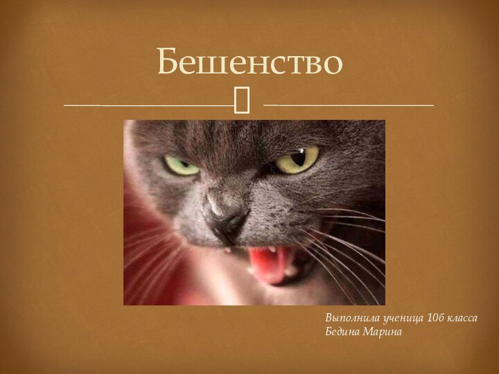 БешенствоВыполнила ученица 10б классаБедина Марина