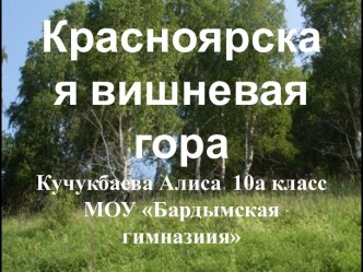 Красноярская вишневая гора