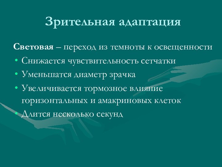 Зрительная адаптацияСветовая – переход из темноты к освещенностиСнижается чувствительность сетчаткиУменьшатся диаметр зрачкаУвеличивается