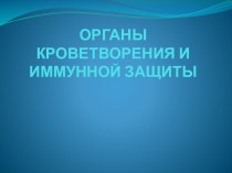 ОРГАНЫ КРОВЕТВОРЕНИЯ И ИММУННОЙ ЗАЩИТЫ