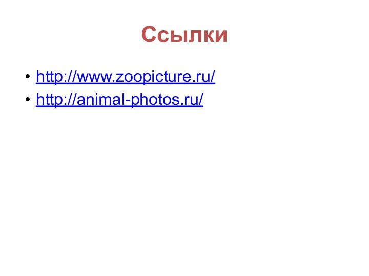 Ссылкиhttp://www.zoopicture.ru/http://animal-photos.ru/