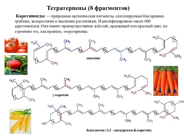 Тетратерпены (8 фрагментов)    Каротиноиды — природные органические пигменты, синтезируемые бактериями,