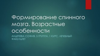 Формирование спинного мозга. Возрастные особенности