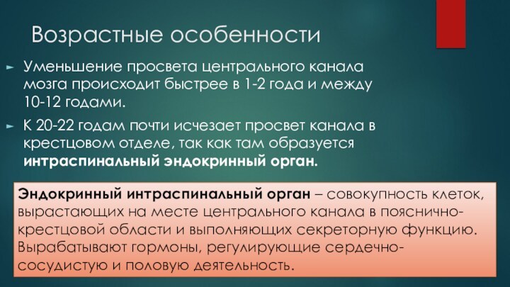 Возрастные особенностиУменьшение просвета центрального канала мозга происходит быстрее в 1-2 года и