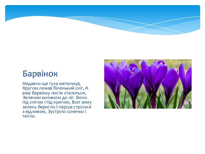 Недавно ще гула метелиця, Кругом лежав біленький сніг, А вже барвінку листя