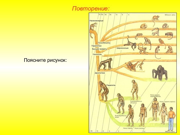 Повторение:Поясните рисунок: