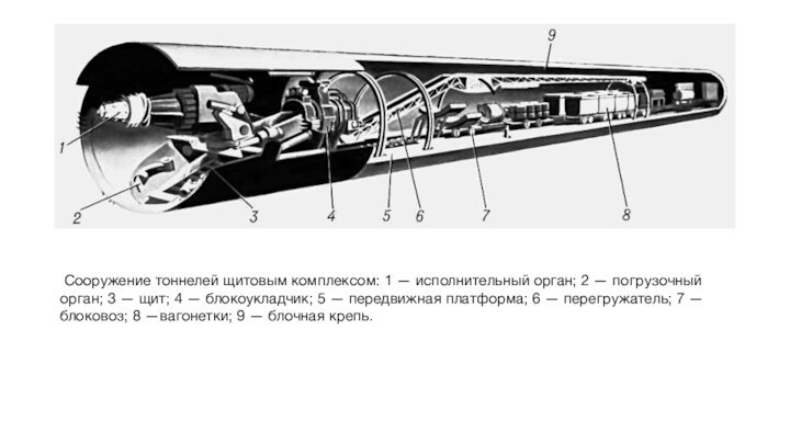  Сооружение тоннелей щитовым комплексом: 1 — исполнительный орган; 2 — погрузочныйорган; 3 — щит; 4 — блокоукладчик; 5 — передвижная платформа; 6 — перегружатель; 7 — блоковоз; 8 —вагонетки; 9 — блочная крепь.