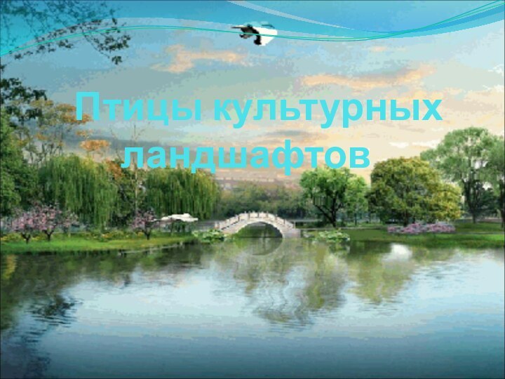 Птицы культурных ландшафтов