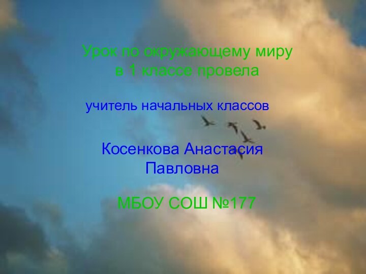 Урок по окружающему миру в 1 классе провела Косенкова Анастасия Павловна МБОУ