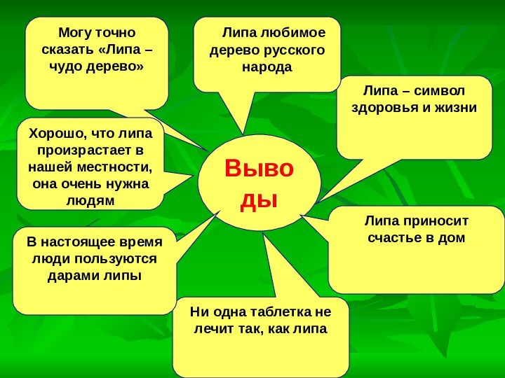 Выводы Липа – символ здоровья и жизниМогу точно сказать «Липа –