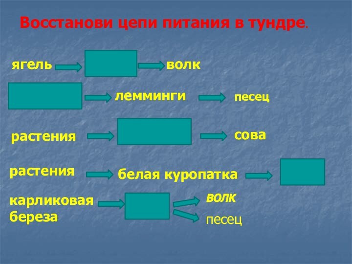 Восстанови цепи питания в тундре.растениякарликовая березазаяцволкволкягельлеммингисовапесецОлень белая куропаткарастениялеммингирастениясовапесец