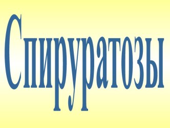 Спируратозы и филяриатозы