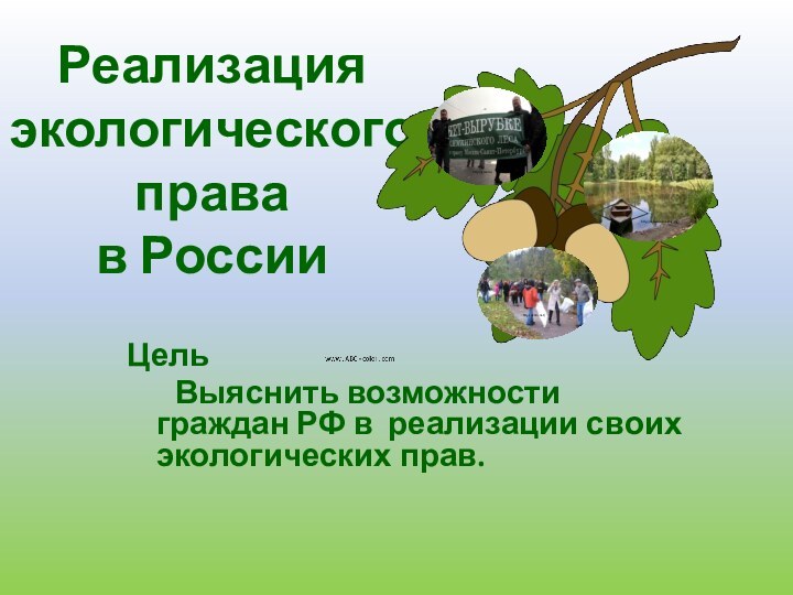 Реализация экологического права в РоссииЦельВыяснить возможности граждан РФ в реализации своих экологических прав.http://www.nosmoking.ru/http://grani.ruhttp://ikrim.net/