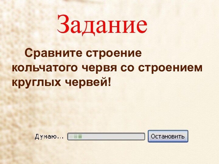 ЗаданиеСравните строение кольчатого червя со строением круглых червей!