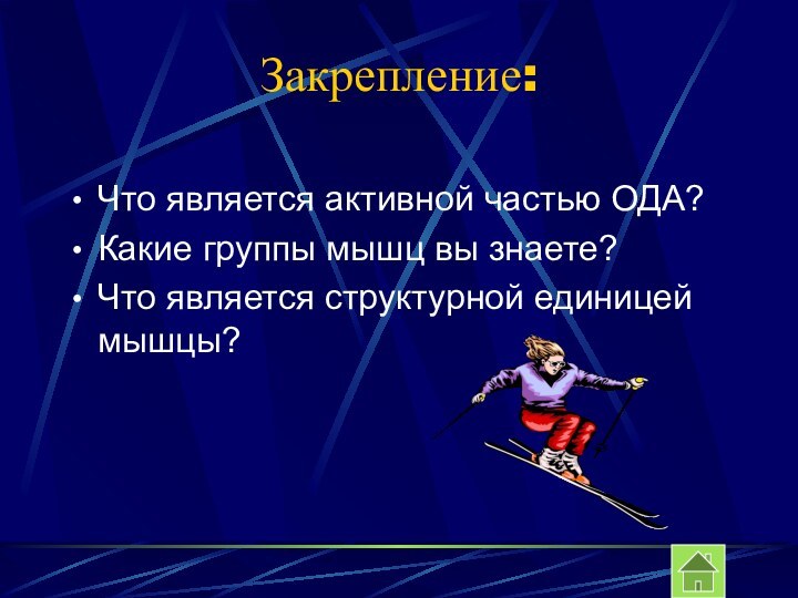 Закрепление: Что является активной частью ОДА?Какие группы мышц вы знаете?Что является структурной единицей мышцы?