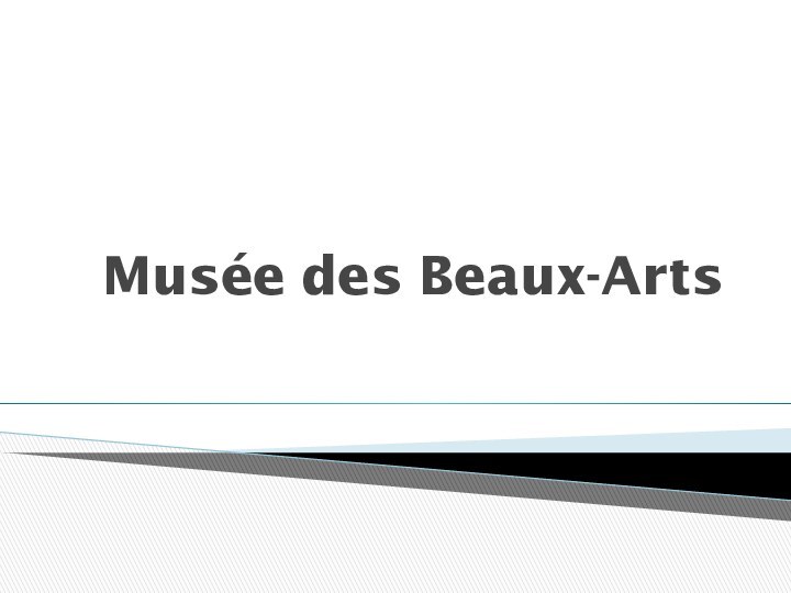 Musée des Beaux-Arts