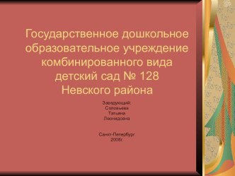 Государственное дошкольное образовательное учреждение комбинированного вида детский сад № 128 Невского района