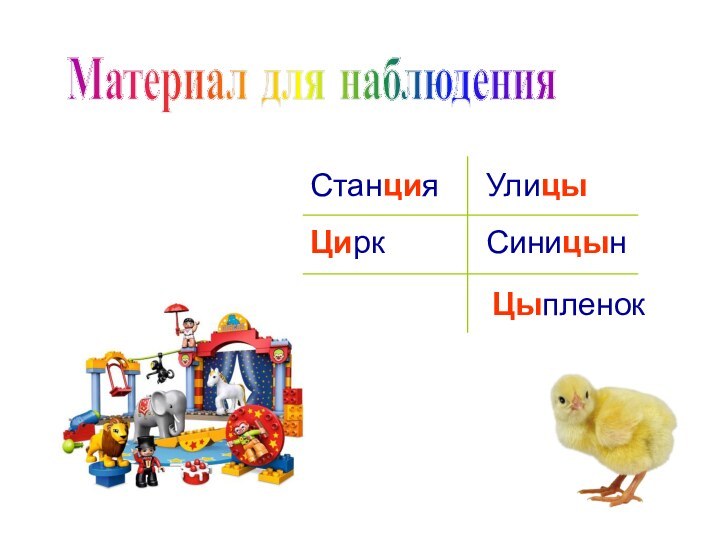 Материал для наблюденияСтанцияЦиркУлицыСиницынЦыпленок