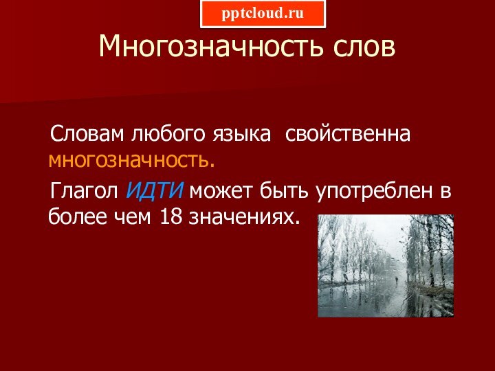 Многозначность слов   Словам любого языка свойственна многозначность.  Глагол ИДТИ