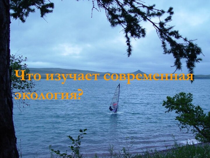 Что изучает современная экология?Что изучает современная экология?