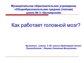 Как работает головной мозг?