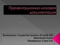 Презентационно-исковая документация