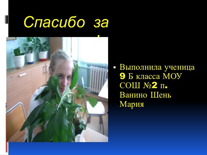 Спасибо за внимание!Выполнила ученица 9 Б класса МОУ СОШ №2 п. Ванино Шень Мария