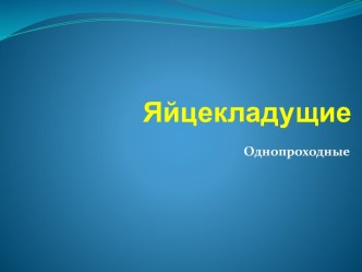 Яйцекладущие