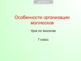 Особенности организации моллюсков