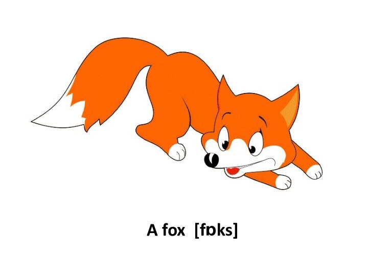 A fox [fɒks]