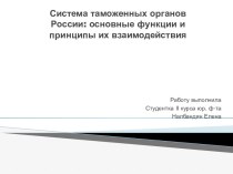 Система таможенных органов России: основные функции и принципы их взаимодействия