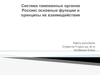 Система таможенных органов России: основные функции и принципы их взаимодействия