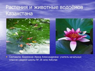 Растения и животные водоёмов Казахстана