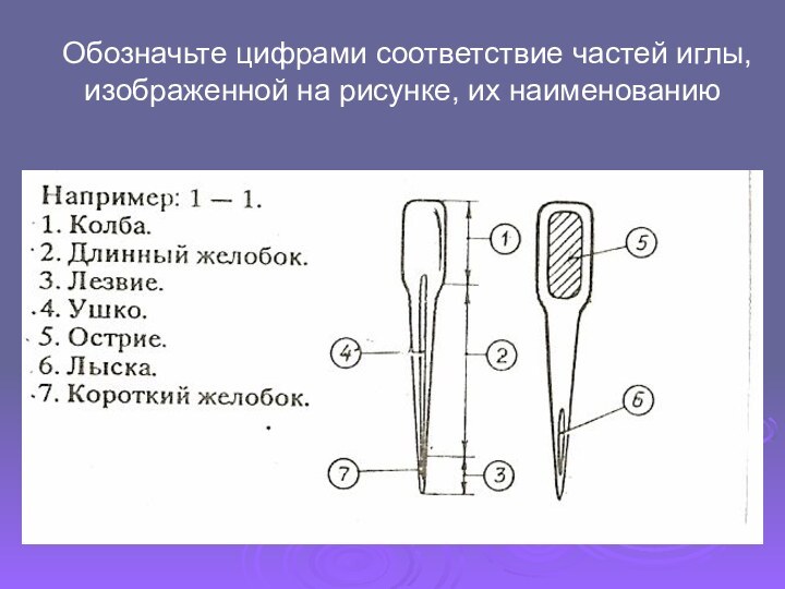 Обозначьте цифрами соответствие частей иглы, изображенной на рисунке, их наименованию