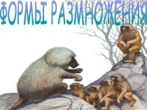 Формы размножения