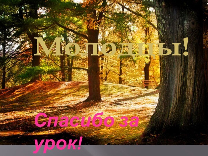 Молодцы!Спасибо за урок!