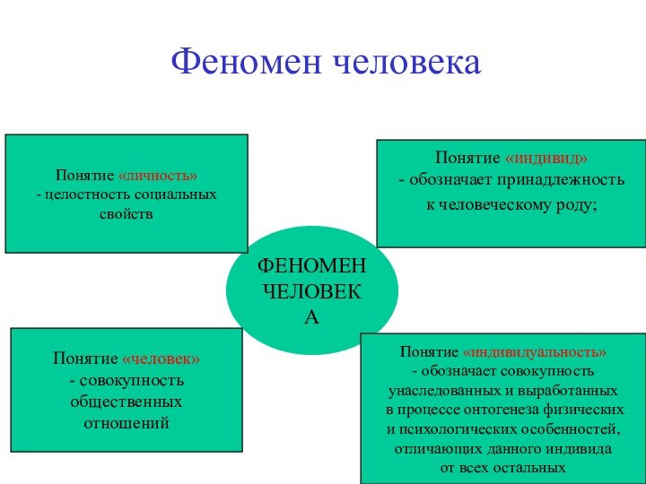 Феномен человекаФЕНОМЕНЧЕЛОВЕКАПонятие «личность»- целостность социальных свойствПонятие «индивид»- обозначает принадлежность к человеческому роду;