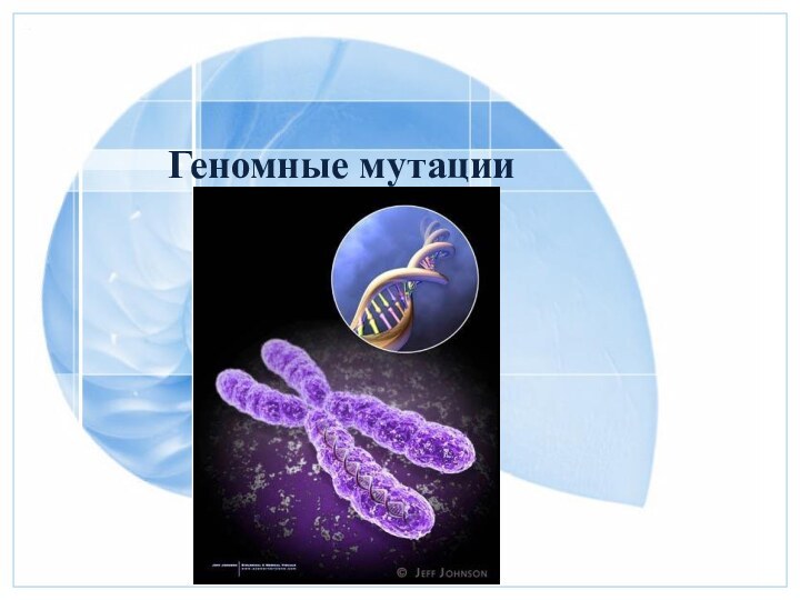 Геномные мутации