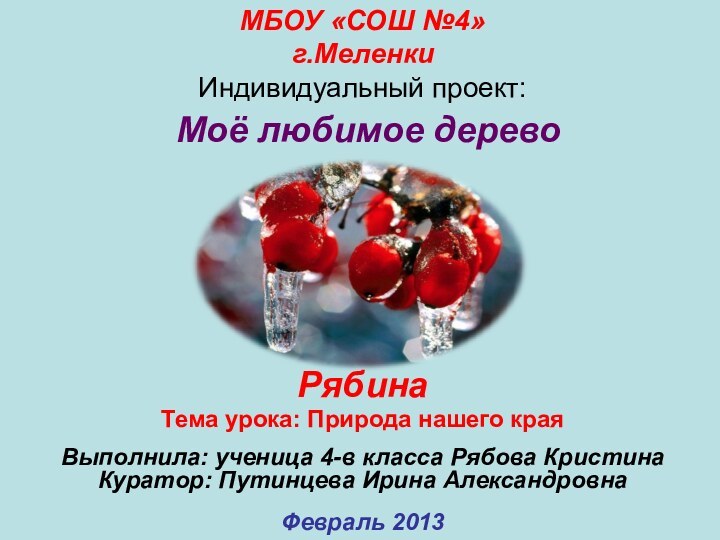 МБОУ «СОШ №4» г.Меленки  Индивидуальный проект:  Моё любимое дерево Рябина