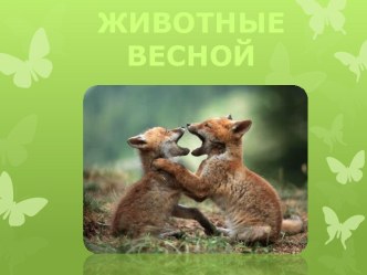 Животные весной