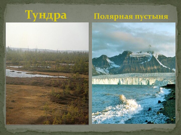 ТундраПолярная пустыня