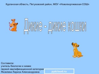 Дикие кошки