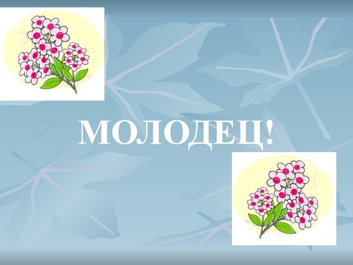 МОЛОДЕЦ!