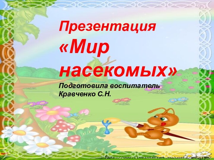 Презентация «Мир насекомых»Подготовила воспитательКравченко С.Н.