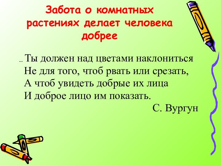 Забота о комнатных растениях делает человека добрее… Ты должен над цветами наклониться