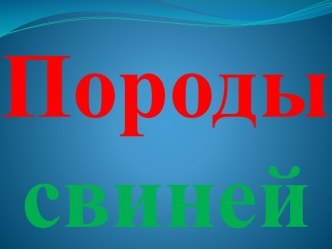 Породы свиней