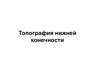 Топография нижней конечности